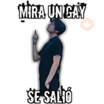 #13 memes variados 