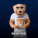 pumas goyo mx