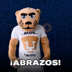 pumas goyo mx