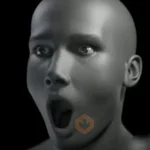 TikTok MEMES