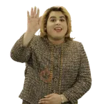 Mamarracheo 2