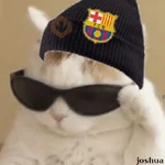 BARCELONA❤️💙