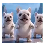Perro Pibble de Tiktok 🐶🐾