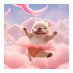 Perro Pibble de Tiktok 🐶🐾