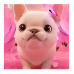 Perro Pibble de Tiktok 🐶🐾