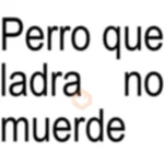📝📍 TEXTO BRAT 📍📝
