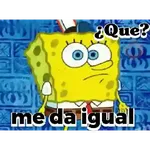 bod esponja