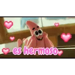 bod esponja