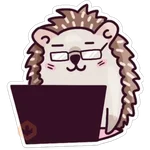 🌈Erizo Kawaii🦔💜 