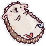 🌈Erizo Kawaii🦔💜 