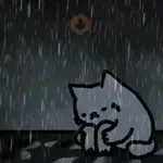 Lluvia 🌧️