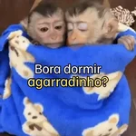 Macaquinhos + frio