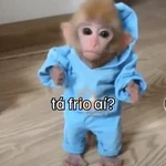 Macaquinhos + frio