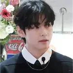 V (BTS) 🐯