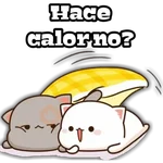 🐱Cheche Cats 1 🐱 