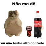 meme gatos