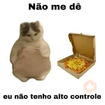meme gatos