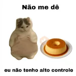 meme gatos