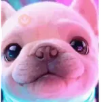 Perro Pibble 🐾✨