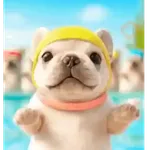 Perro Pibble 🐾✨