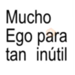 Textos Brat ✨💬