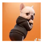 Perro Pibble Tiktok 🐶 ❤️