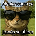 Gatitos con Estados Alterados