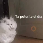 lol 2