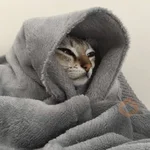 Qué frío 🥶❄️ taelao