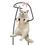Gatos