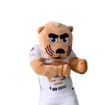 Yarol Pumas