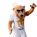 Yarol Pumas