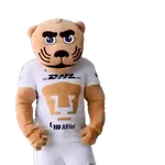 Yarol Pumas