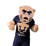 Pumas