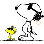 🐕 SnOoPy reactions 2️⃣📲💬
