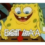 memes de tik tok