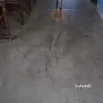 memes animados