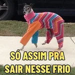 TÁ MUITO FRIO 🥶
