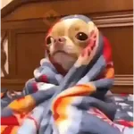 Frio e Inverno
