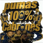 Pumas