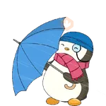 Memes Lluvia ⛈️