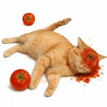 GATOS TOMATE