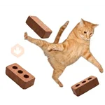 GATOS TOMATE
