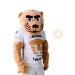 Pumas Fútbol ⚽️ ✅️