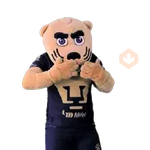 Pumas Fútbol ⚽️ ✅️