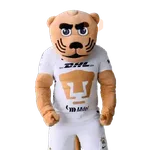 Pumas Fútbol ⚽️ ✅️
