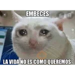 memes