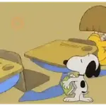 ㅤㅤ❝ㅤㅤㅤ🌸ᅠᅠ〔 Snoopy 〕ᅠᅠ鑟鑟