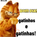 bom dia,boa noite