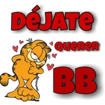 GARFIELD Twitter @ballolet88 